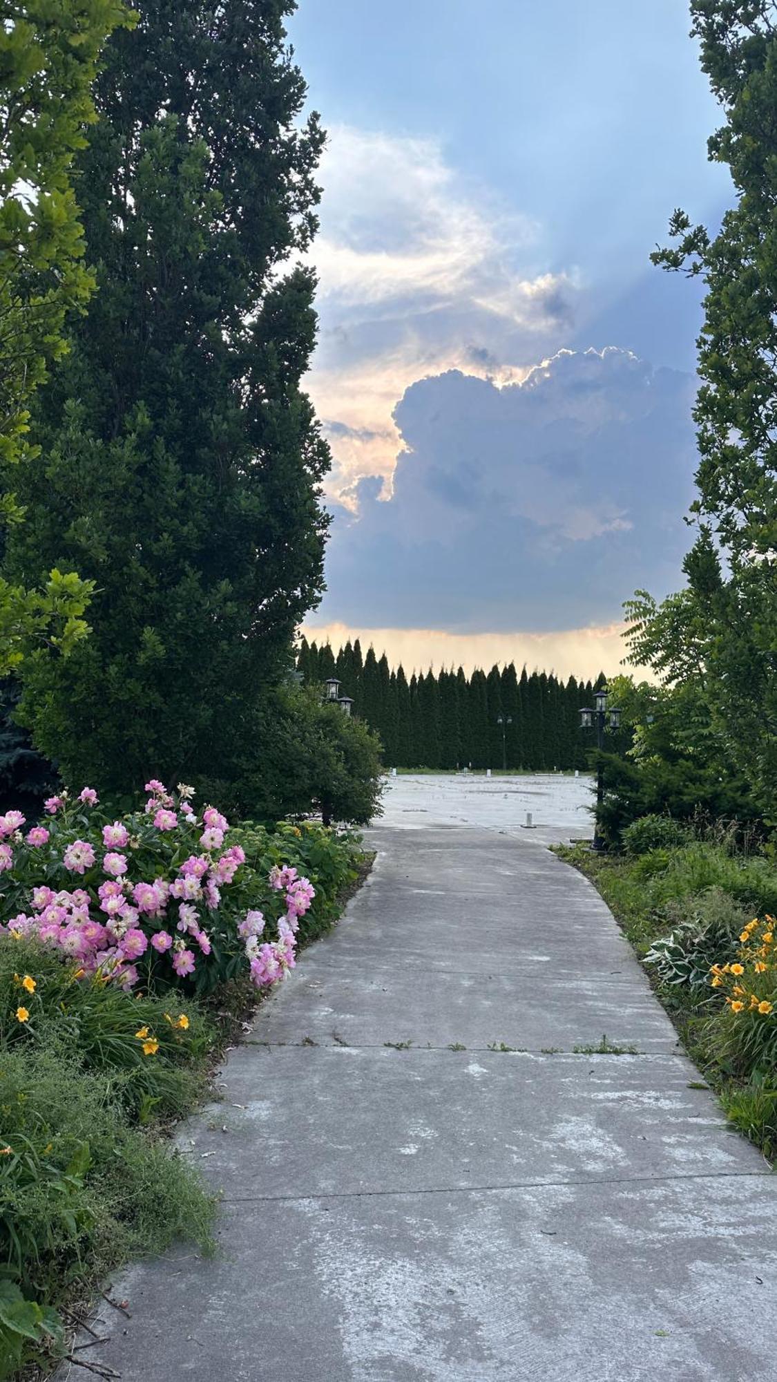 Stone Willow Inn Saint Marys Εξωτερικό φωτογραφία